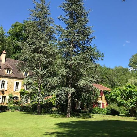 Bed & Breakfast Le Moulin Neuf Saint-Alvere Екстер'єр фото