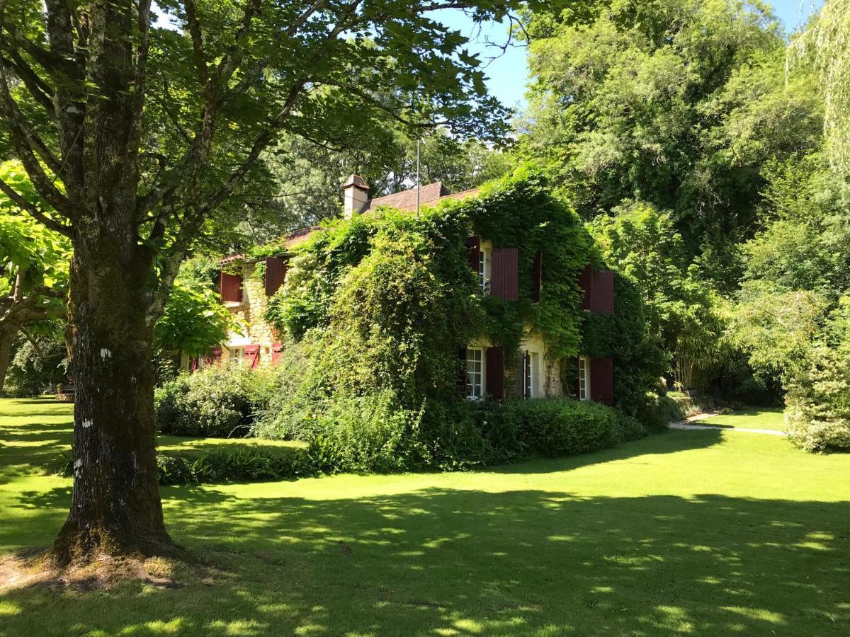 Bed & Breakfast Le Moulin Neuf Saint-Alvere Екстер'єр фото