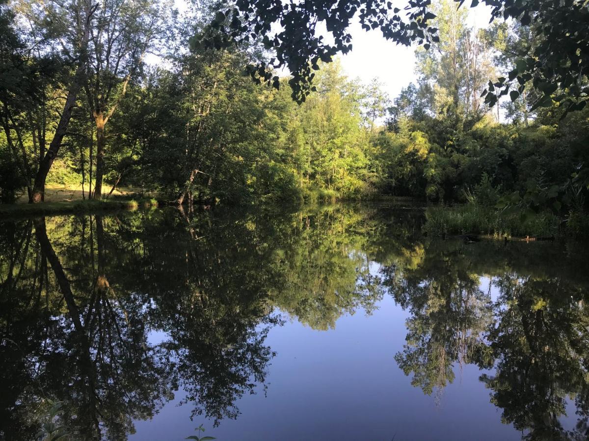 Bed & Breakfast Le Moulin Neuf Saint-Alvere Екстер'єр фото