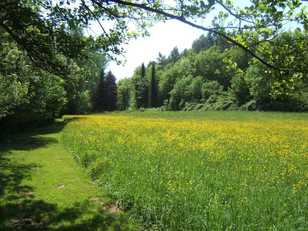 Bed & Breakfast Le Moulin Neuf Saint-Alvere Екстер'єр фото