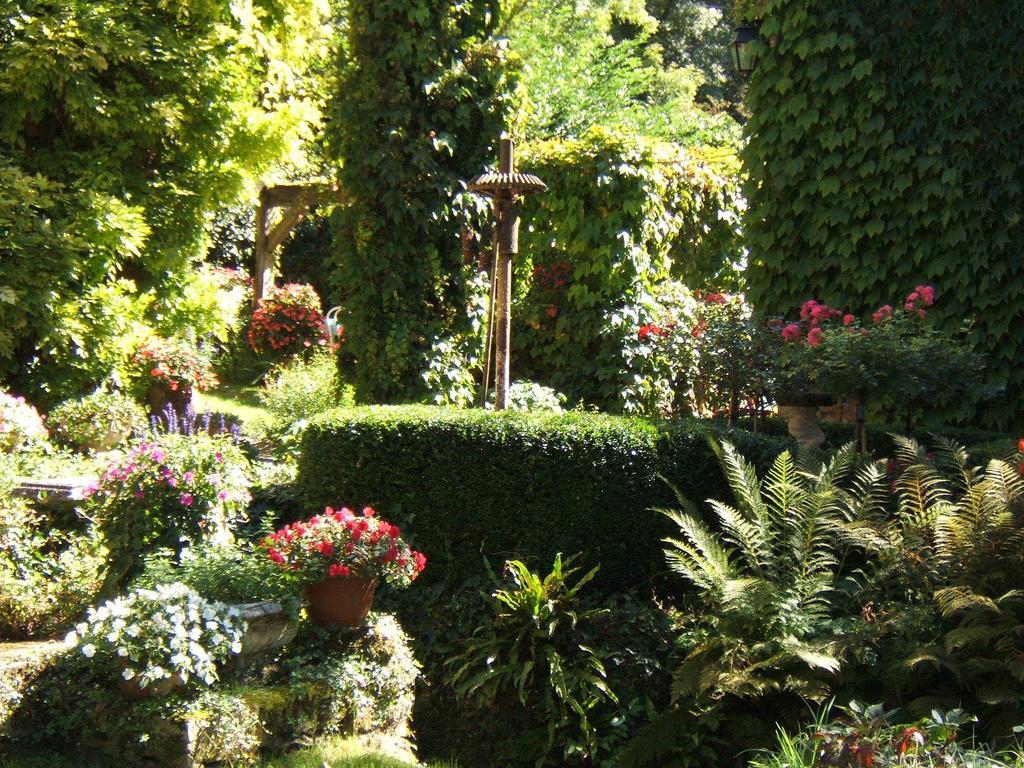 Bed & Breakfast Le Moulin Neuf Saint-Alvere Екстер'єр фото