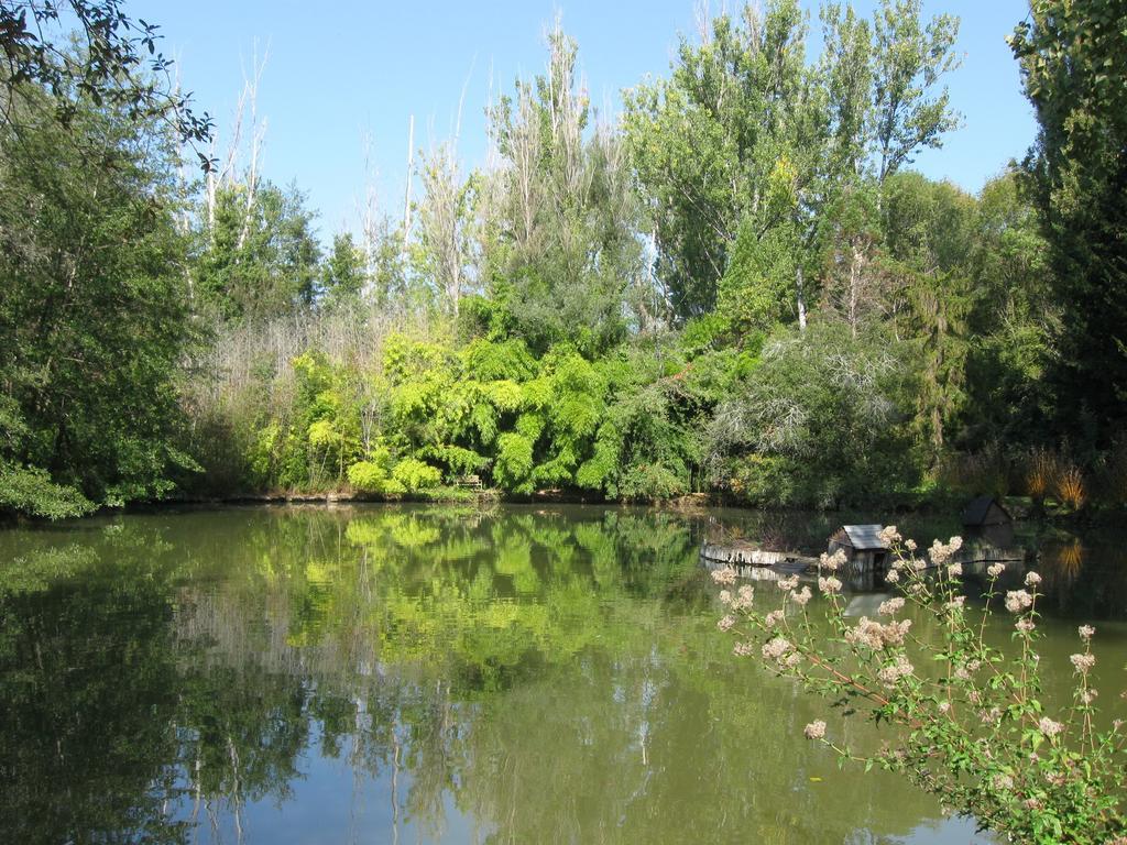 Bed & Breakfast Le Moulin Neuf Saint-Alvere Екстер'єр фото