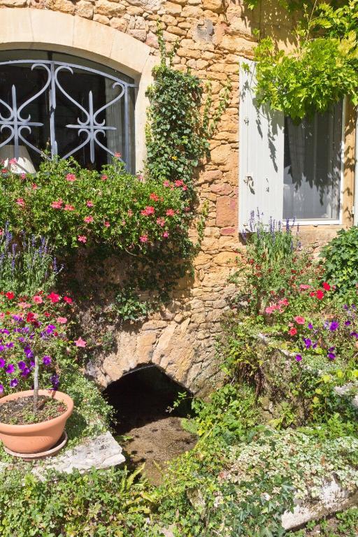 Bed & Breakfast Le Moulin Neuf Saint-Alvere Екстер'єр фото